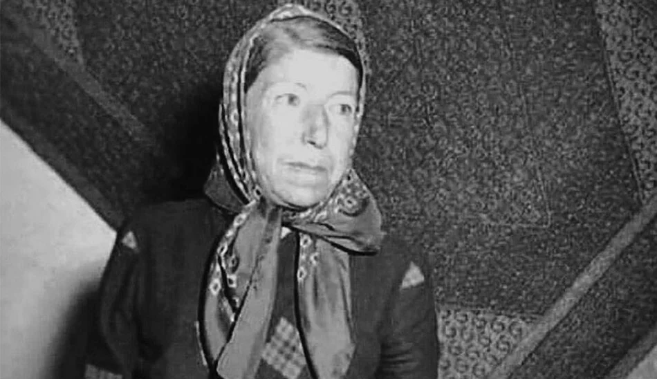 قمرالملوک وزیری